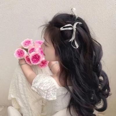 水果宝贝之水果总动员 封面